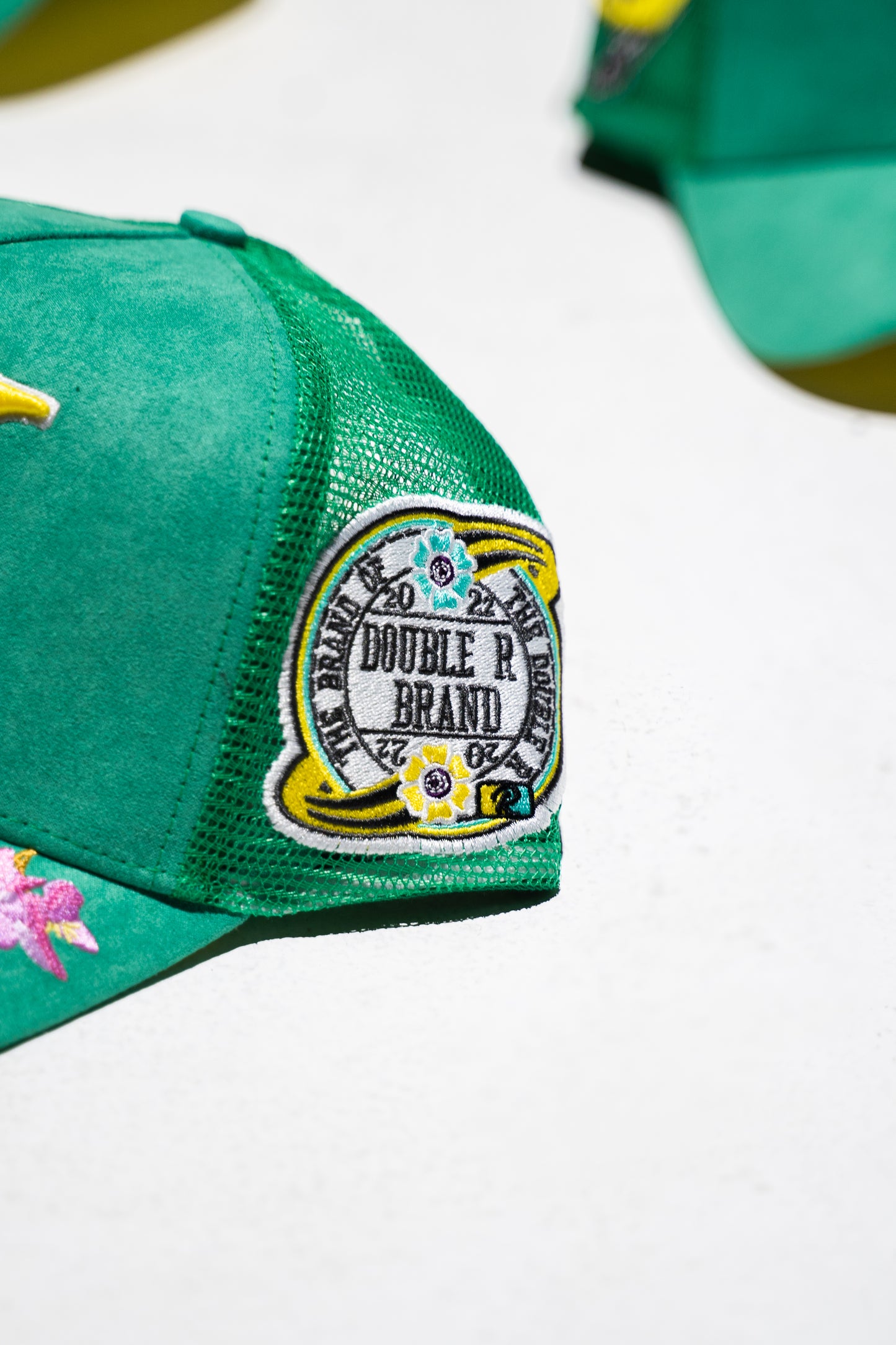 “envy zinnia” CAP