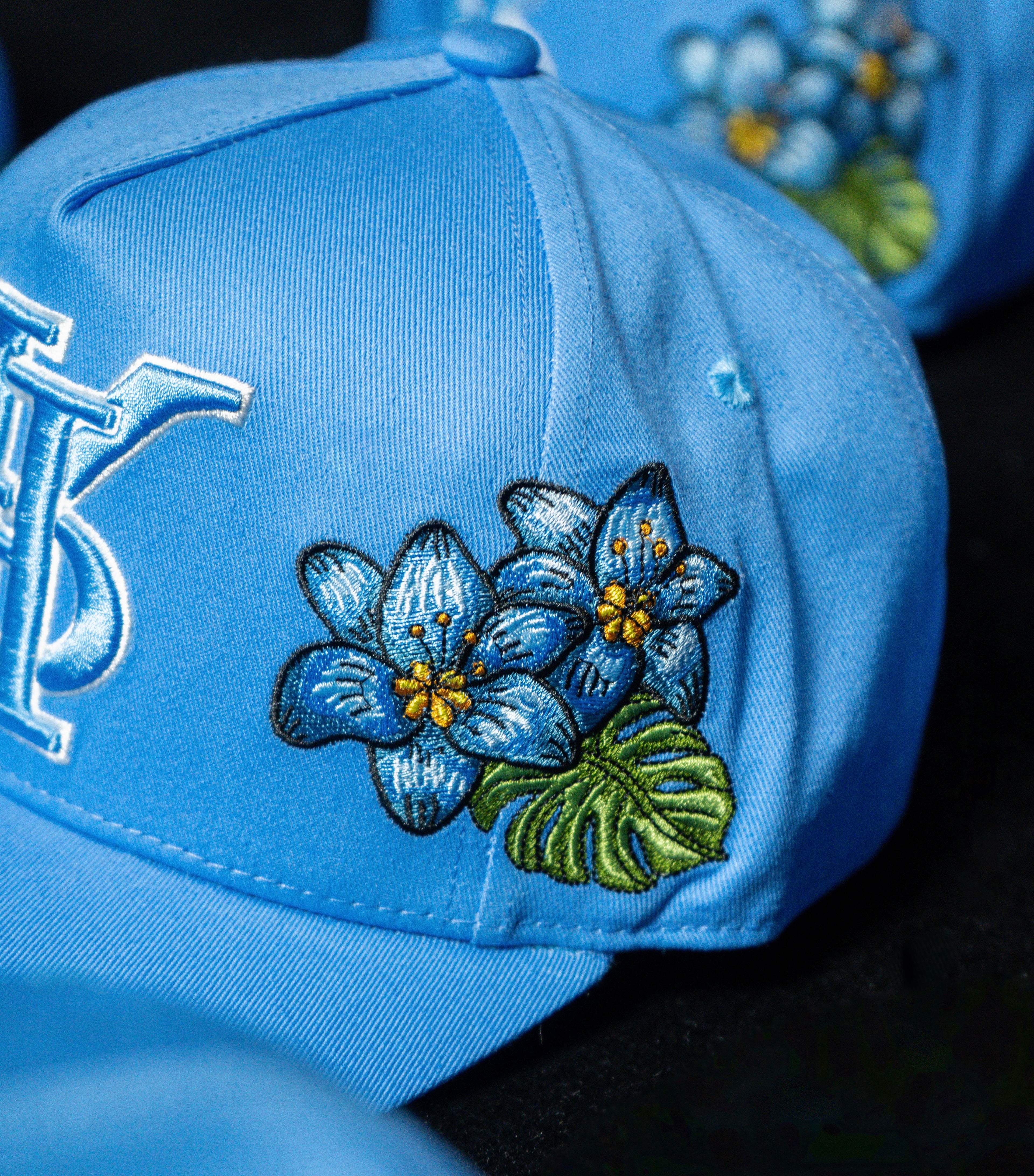“le pRRintemps” CAP