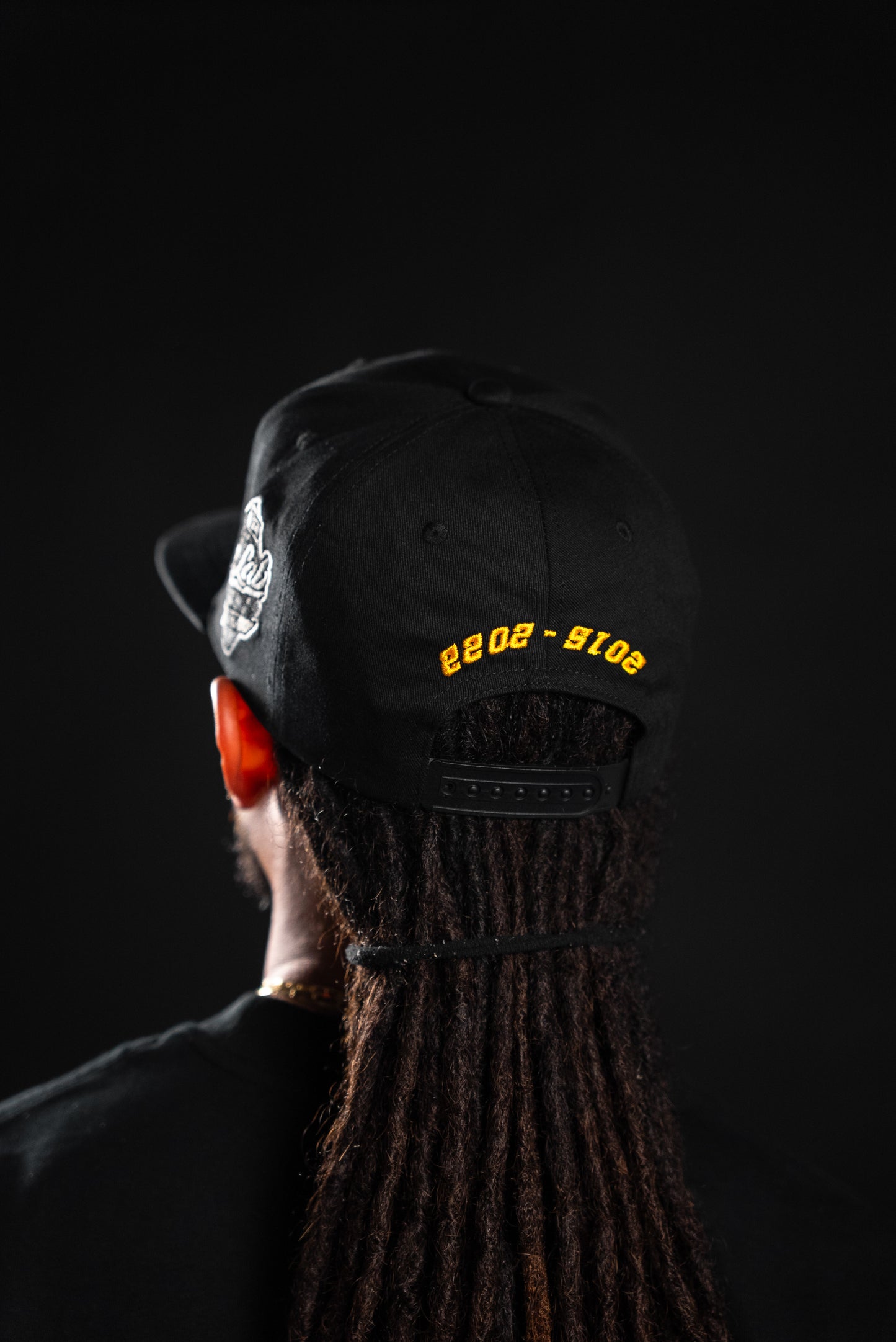 “the lab RReturned v2” CAP