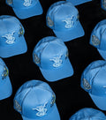 “le pRRintemps” CAP